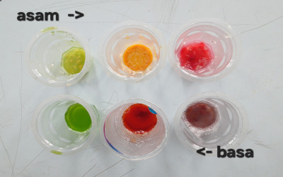 Chemistry in Nature: Eksplorasi Asam Basa dengan Ekstrak Tumbuhan di MTs Ma’arif Al Hamid