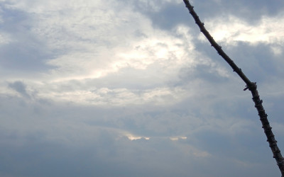 Makna Malam Nisfu Sya’ban dan Refleksinya bagi Peserta Didik MTs Ma’arif Al Hamid